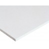 FERMACELL 10MM 1000X1500